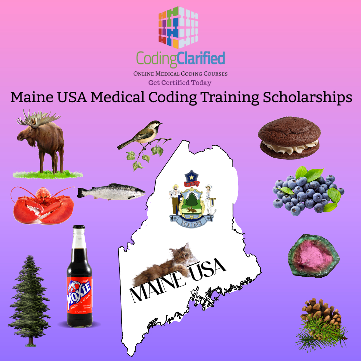 Medical Coding Training Scholarship in Main Graphic