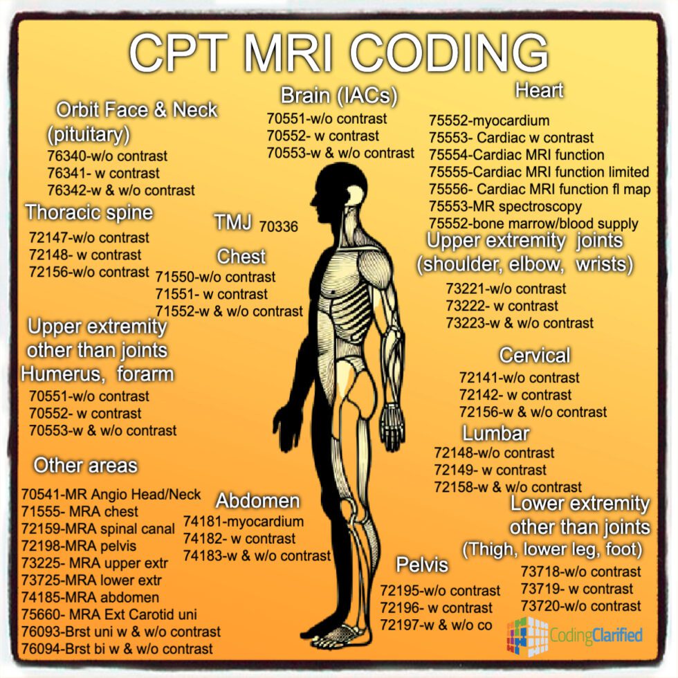 MRI CPT Coding Guide: Comprehensive Guide to MRI Coding