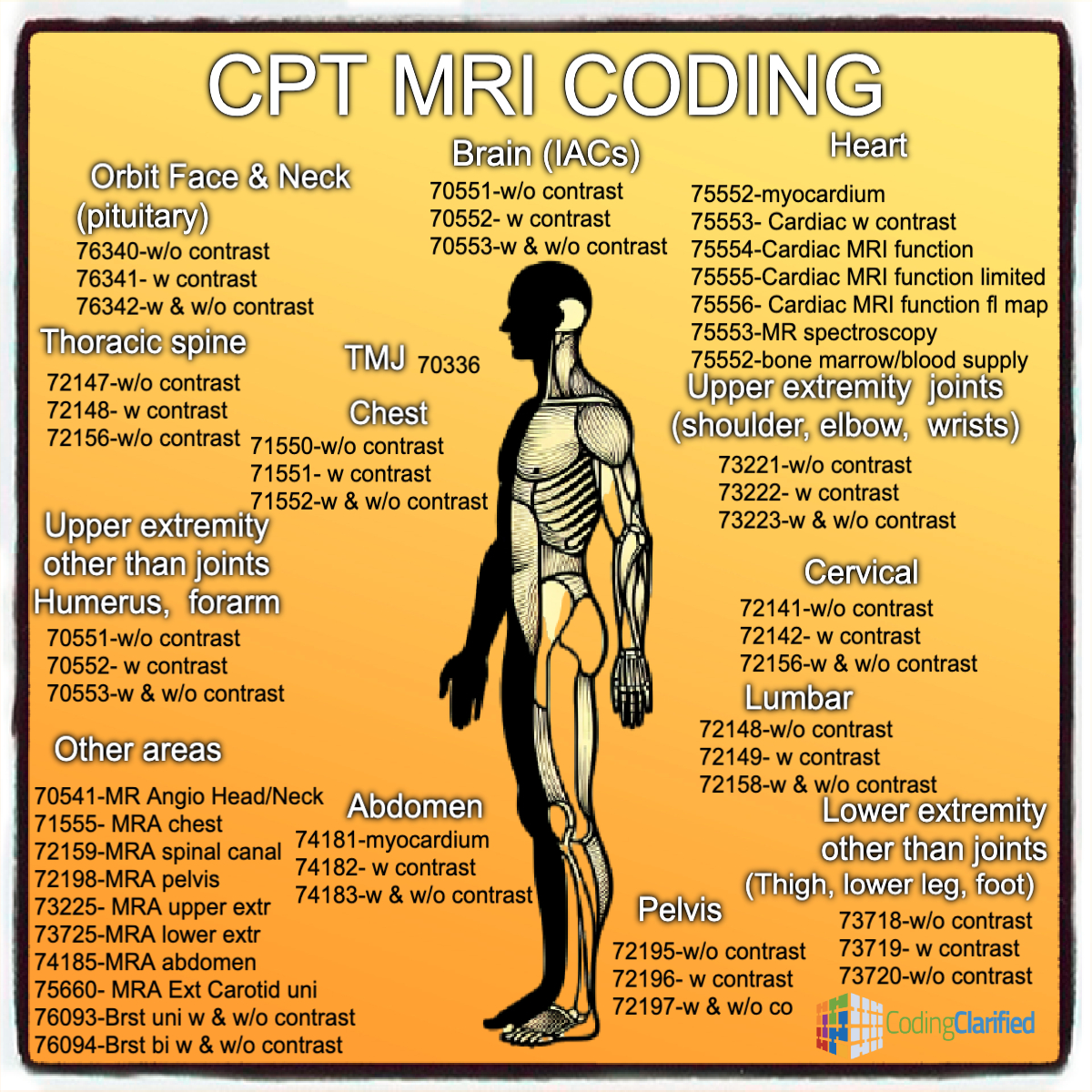 CPT MRI Medical Coding graphic with common CPT codes for MRI's