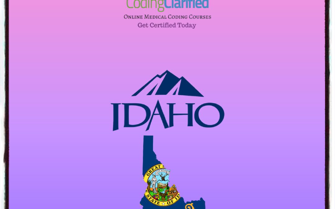 Coding Clarified WIOA Scholarships/Grants Now Available in Idaho