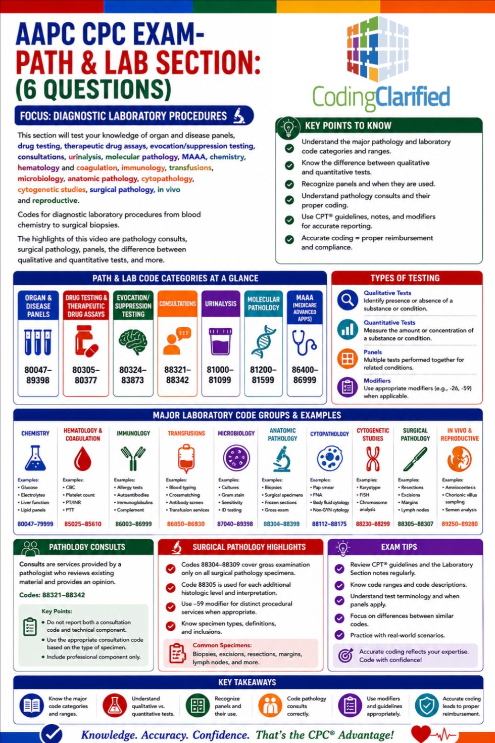 Guidelines for Coding Pathology and Laboratory Services | Coding Clarified