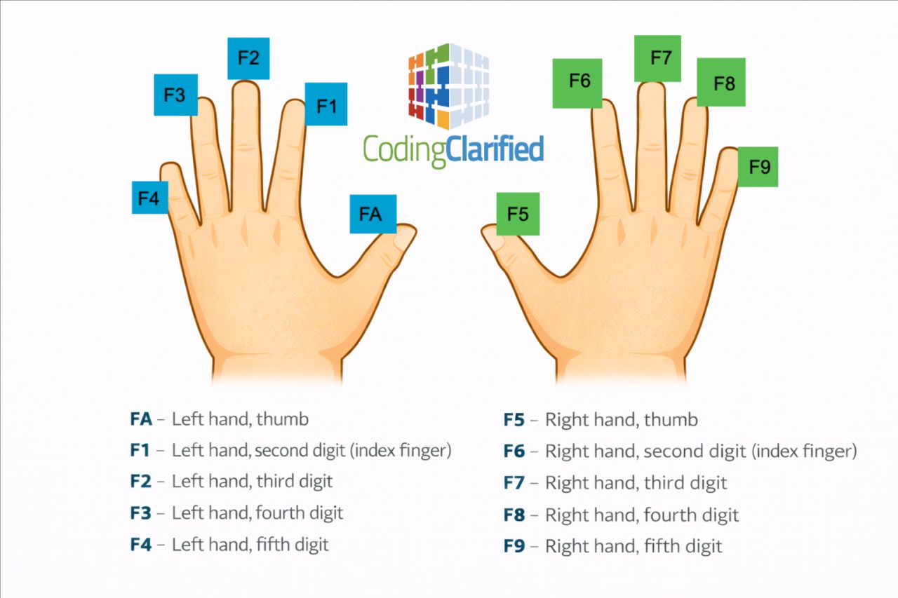 Medical Coding Anatomical Modifiers | Coding Clarified