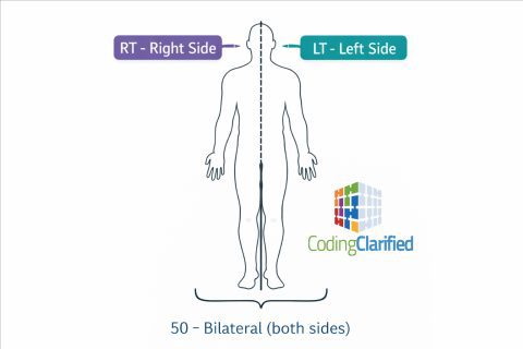 Medical Coding Anatomical Modifiers | Coding Clarified