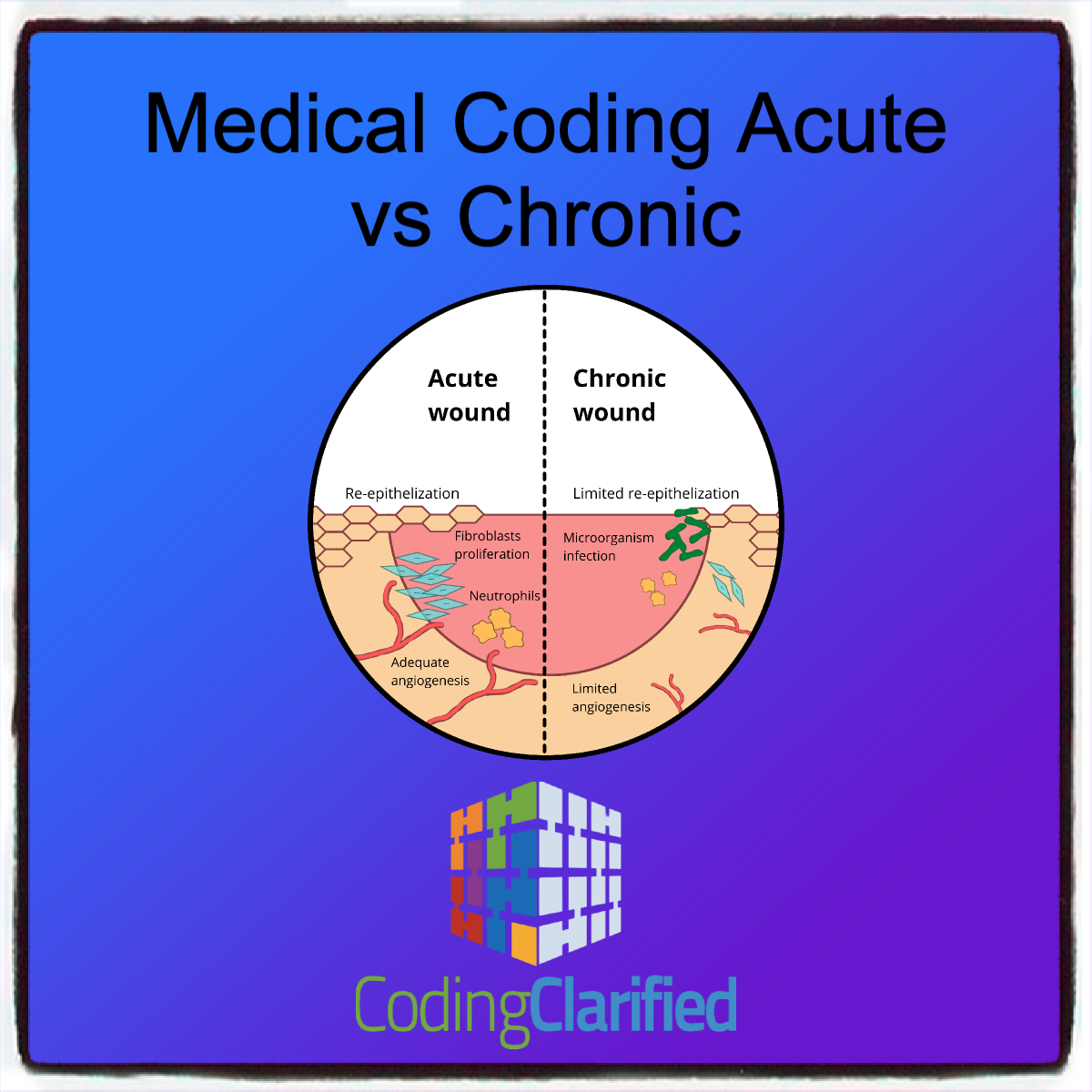 A graphic for Acute vs Chronic in Medical Coding featuring two halves of a circle, one exhibiting acute issues and he other chronic.