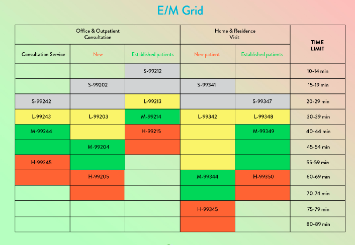 A very detailed grid for Evaluation and Management (E/M) services