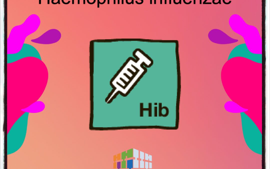Medical Coding Haemophilus influenzae