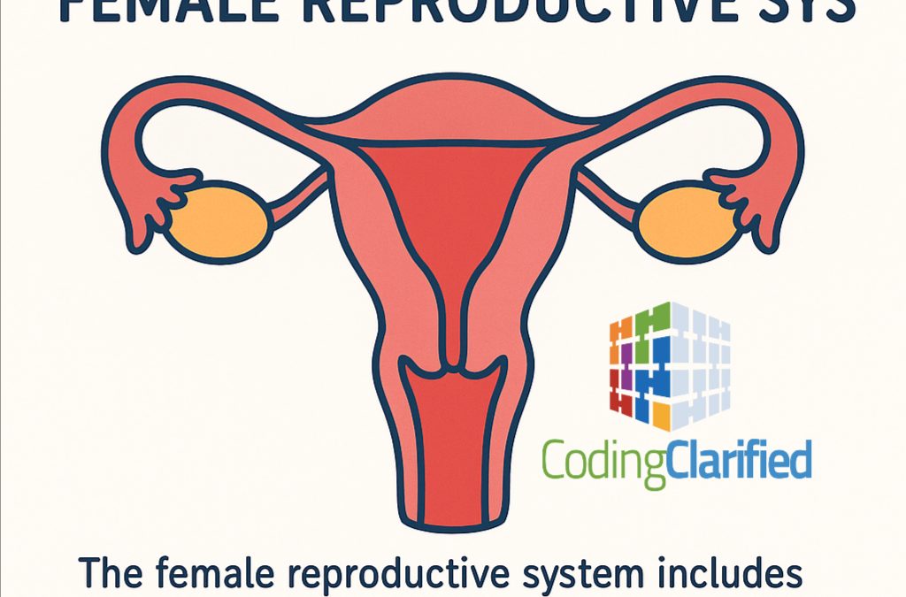 Medical Coding Female Reproductive System