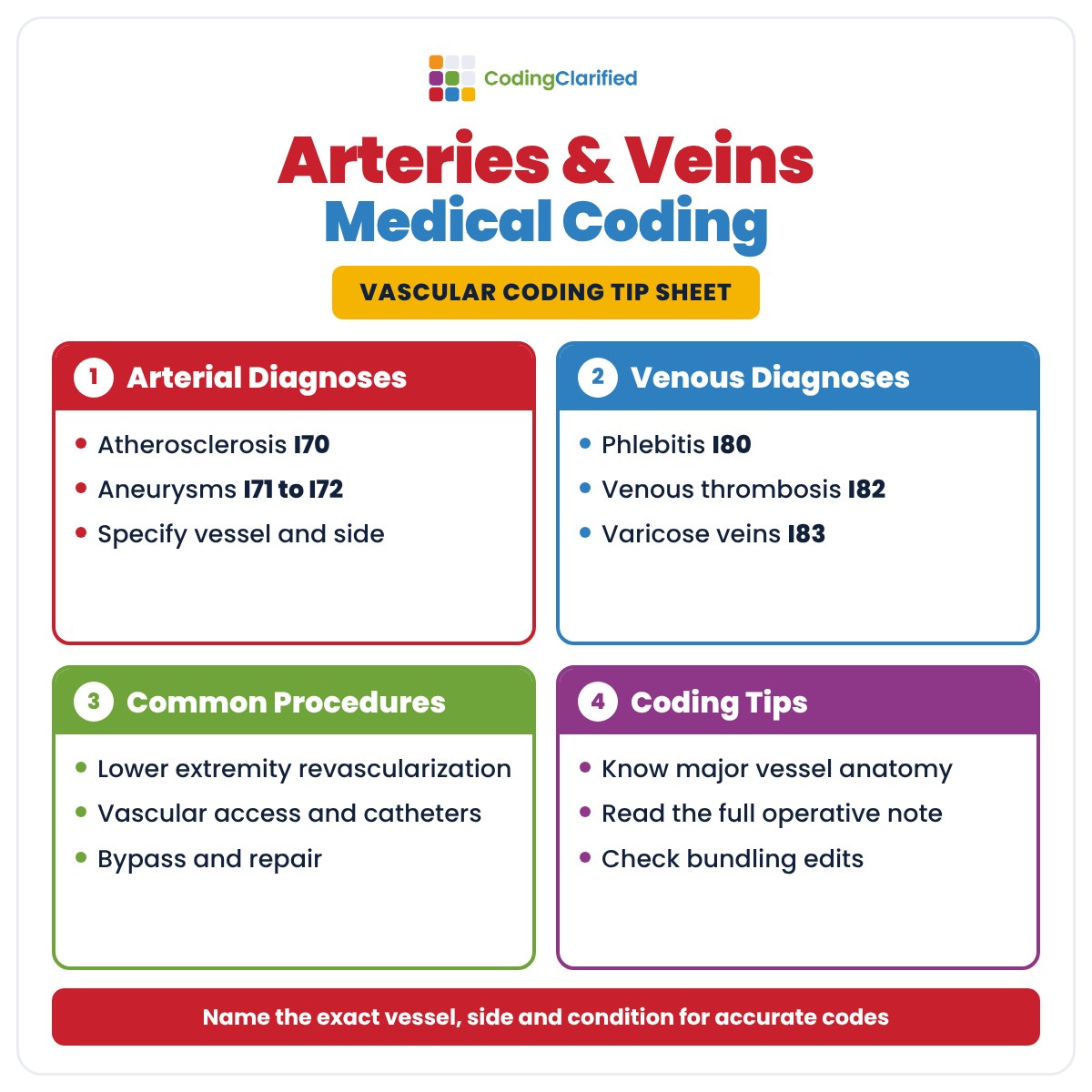 Arteries and Veins Medical Coding Cheat Sheet