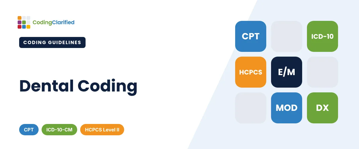 Dental Coding | Coding Clarified