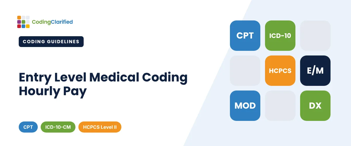 Entry Level Medical Coding Hourly Pay | Coding Clarified