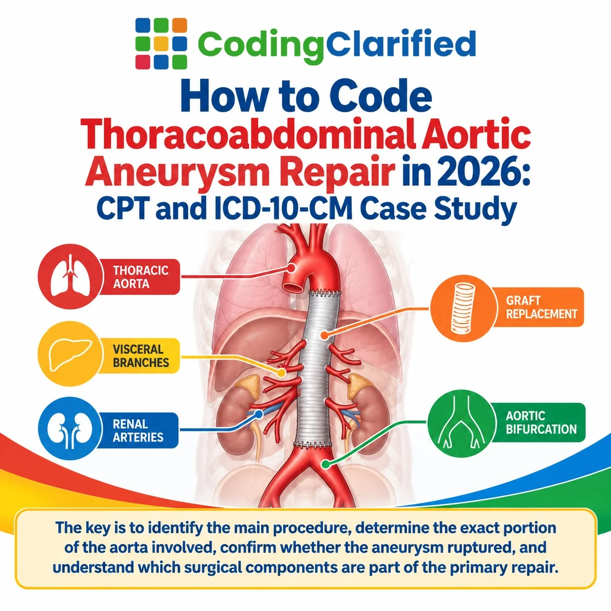 How to Code Thoracoabdominal Aortic Aneurysm Repair in 2026: CPT and ICD-10-CM Case Study | Coding Clarified