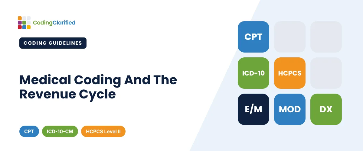 Medical Coding And The Revenue Cycle | Coding Clarified