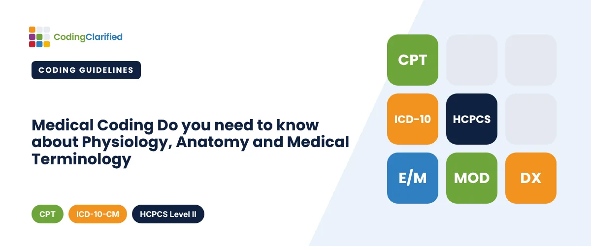 Medical Coding Do you need to know about Physiology, Anatomy and Medical Terminology | Coding Clarified